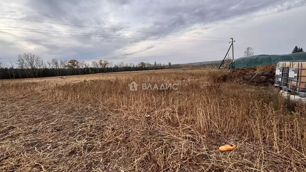 Участок в Белгородская область, Старооскольский городской округ, с. ... - Фото 1