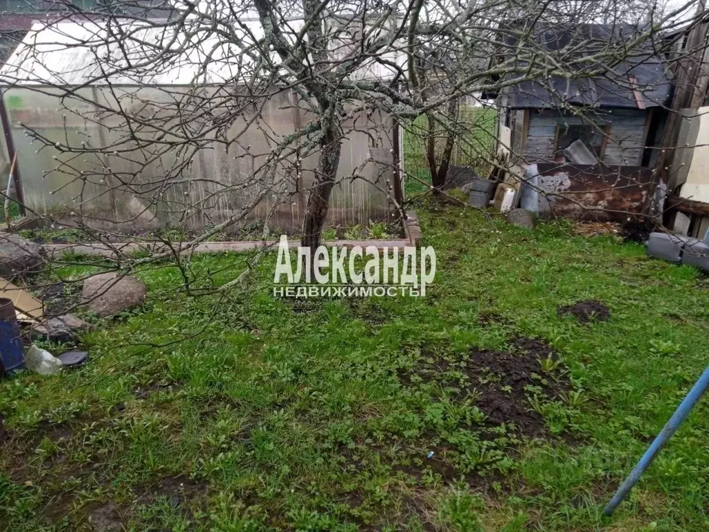 Участок в Ленинградская область, Волхов Труженик СНТ, ул. Боровинка ... - Фото 0