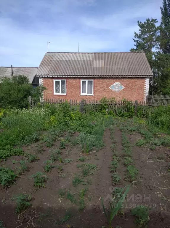 Дом в Омская область, Азовский Немецкий Национальный район, с. Пришиб ... - Фото 1