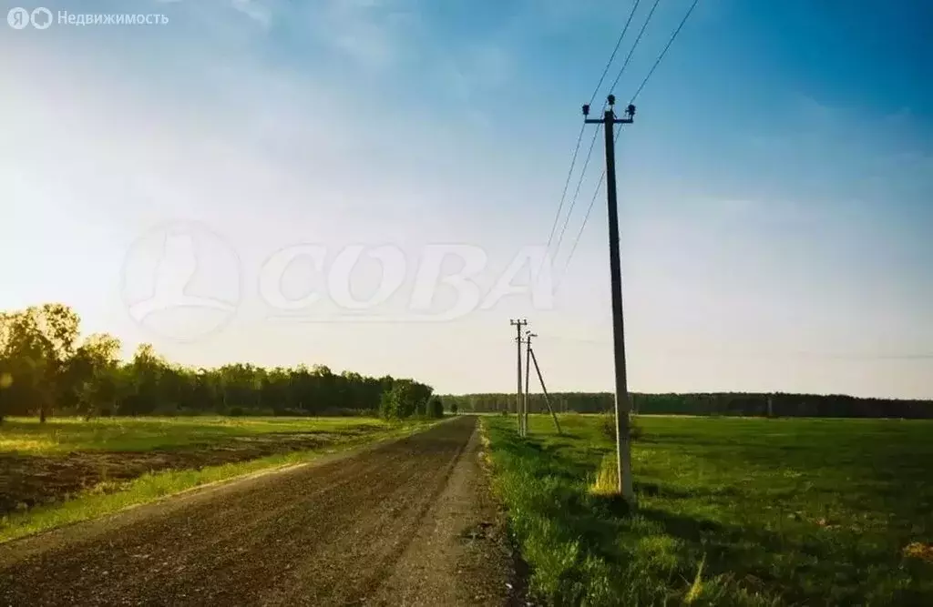 Участок в Тюменский район, село Борки (9.1 м) - Фото 0