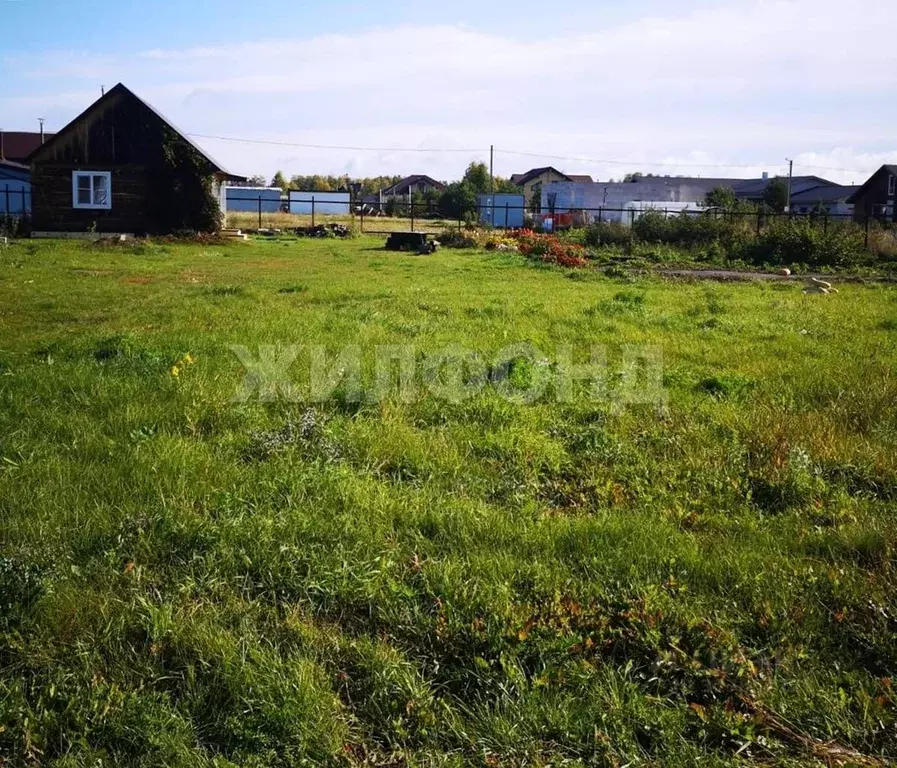 Участок в Новосибирская область, Новосибирский район, с. Боровое ул. ... - Фото 0