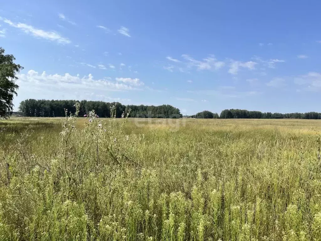 Участок в Новосибирская область, Новосибирский район, Криводановский ... - Фото 0