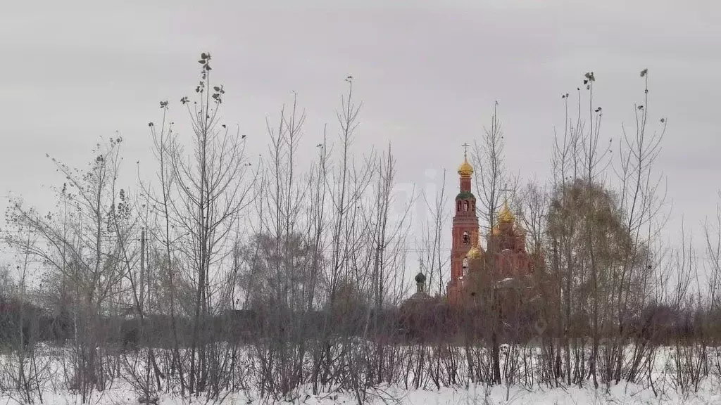 Участок в Омская область, Омский район, с. Ачаир ул. Строителей, 24 ... - Фото 1