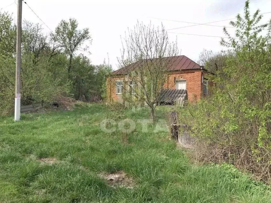 Дом в Воронежская область, Новоусманский район, с. Хреновое Ямная ул., ... - Фото 1