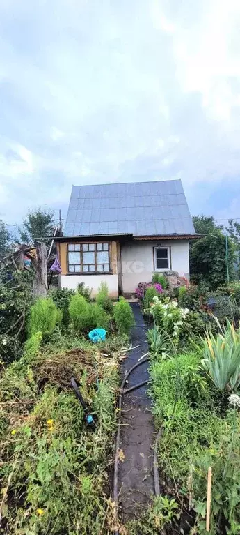 Дом в Липецкая область, Липецк Дачный-3 СНТ, 776 (35 м) - Фото 1