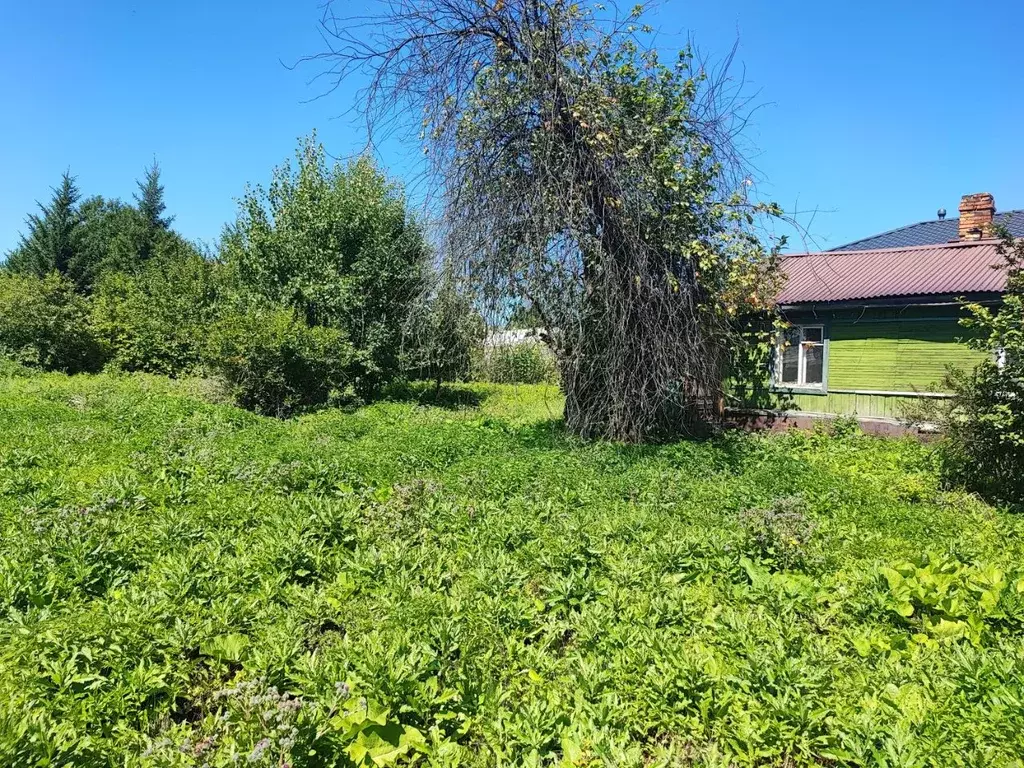Участок в Иркутская область, Иркутский муниципальный округ, пос. Новая ... - Фото 2
