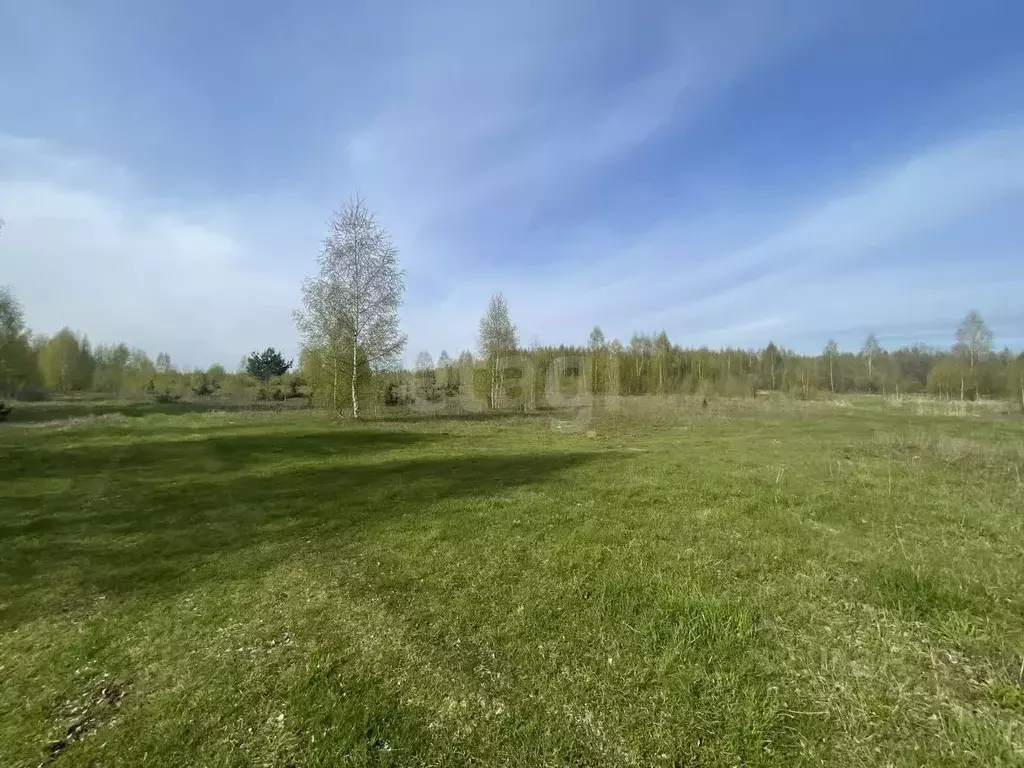 Участок в Ярославская область, Некрасовское рп  (800.0 сот.) - Фото 0