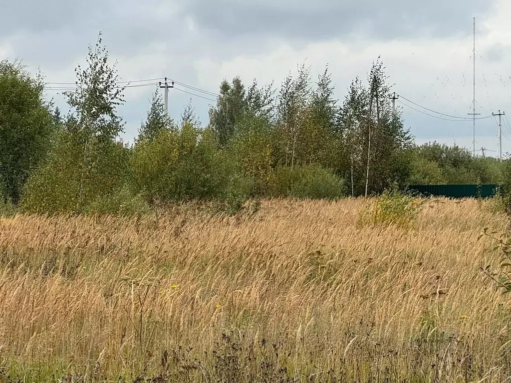 Участок в Московская область, Богородский городской округ, д. Новое ... - Фото 2