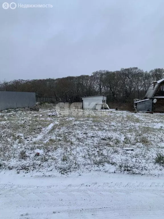 Участок в Московская область, городской округ Воскресенск, село ... - Фото 2