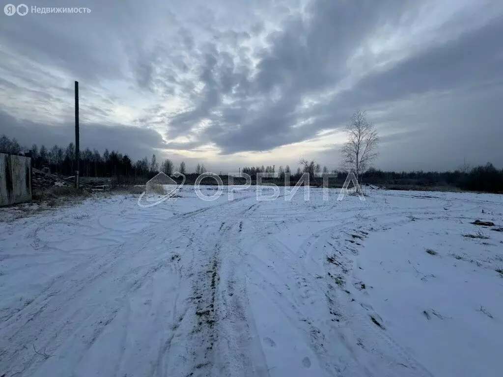 Участок в Тюменская область, Нижнетавдинский муниципальный округ, СНТ ... - Фото 1