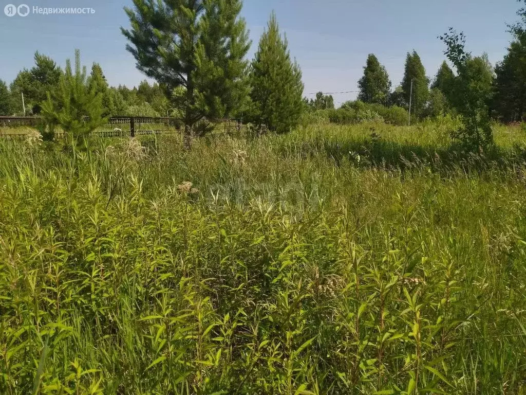 Участок в Тюменский муниципальный округ, СНТ Лоза, 11-я улица (8 м) - Фото 2