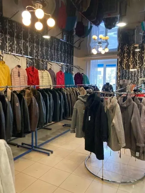 Офис в Брянская область, Брянск ул. Пушкина, 33 (78 м) - Фото 1
