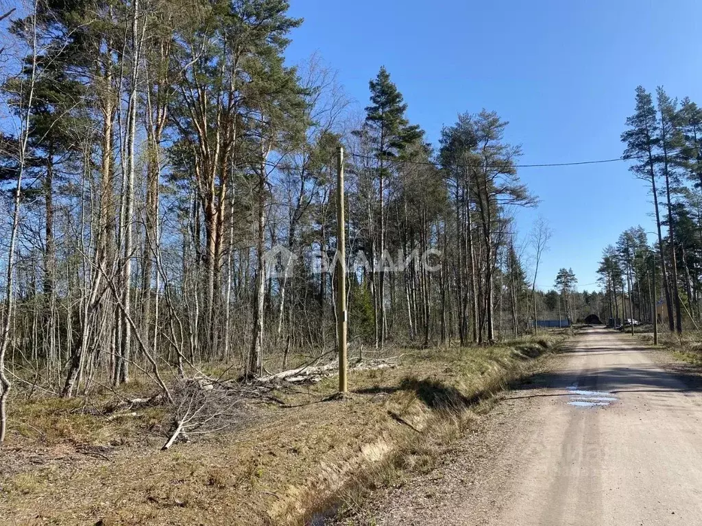 Участок в Ленинградская область, Выборгский район, Полянское с/пос, ... - Фото 1