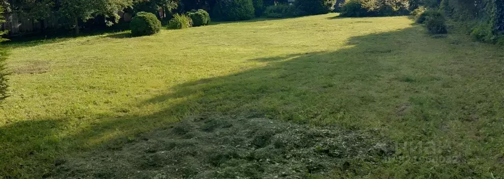 Участок в Москва Полянка-Лапшинка ДНТ, 46/2 (12.0 сот.) - Фото 1