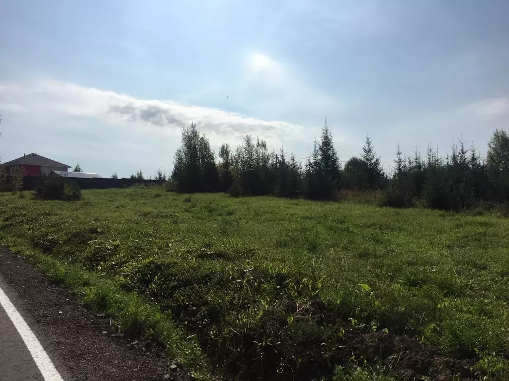 Продается участок в д. Кострово - Фото 2