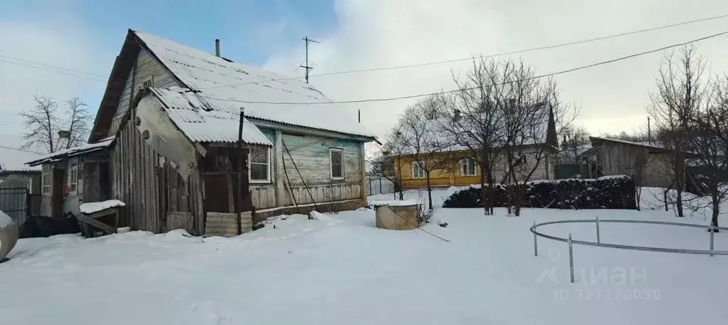 Дом в Псковская область, Гдов ул. Белоцерковец, 7 (53 м) - Фото 2