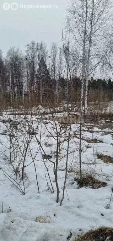 Участок в село Кафтанчиково, Осенняя улица (7 м) - Фото 2