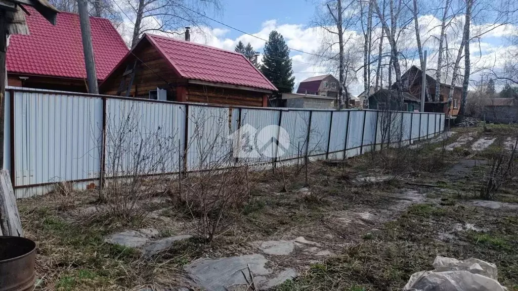 Участок в Новосибирская область, Новосибирск Березовая Роща СТ, 173 ... - Фото 2