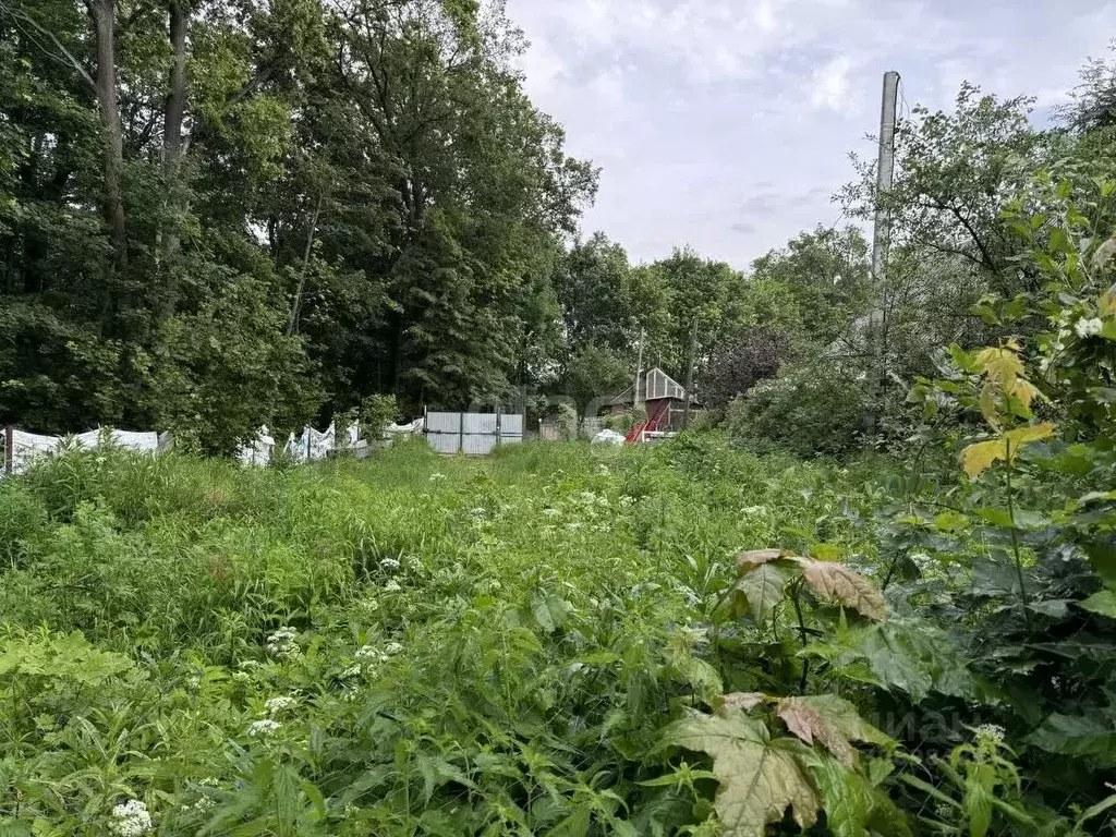 Участок в Нижегородская область, Нижний Новгород Заветы Мичурина Сад № ... - Фото 0