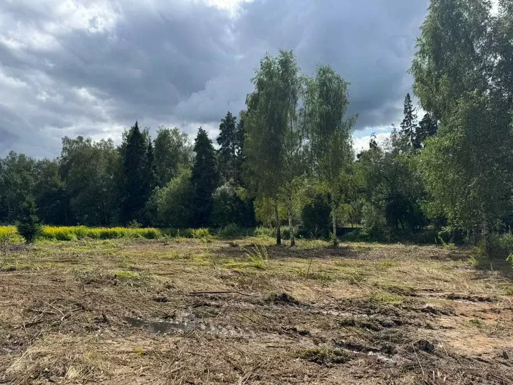 Участок в Московская область, Красногорск городской округ, д. ... - Фото 2
