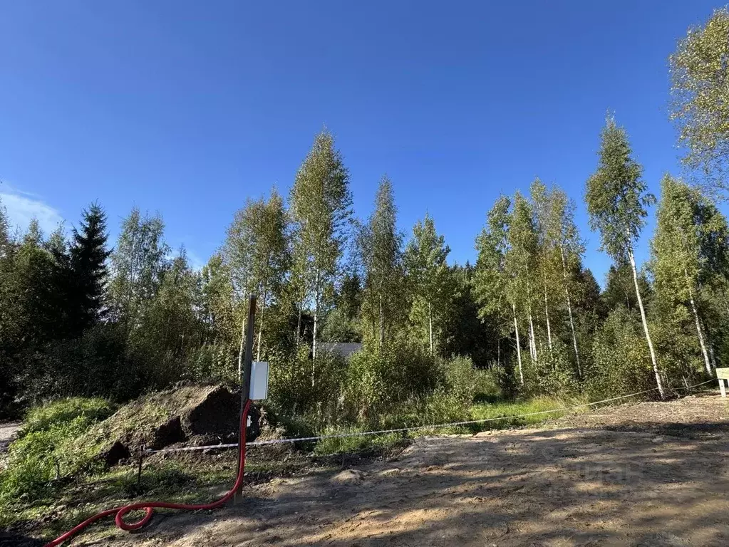 Участок в Ленинградская область, Всеволожский район, Лесколовское ... - Фото 1