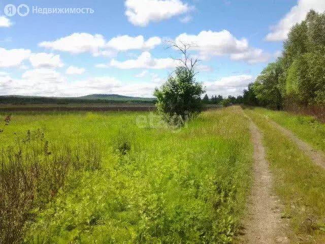 Участок в Хабаровский район, село Лесное (3200 м) - Фото 1