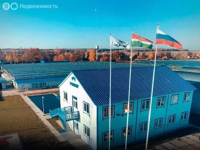 Производственное помещение (240240 м) - Фото 1