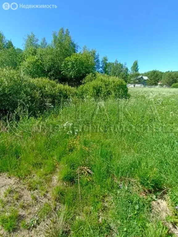 Участок в Выборгский район, Каменногорское городское поселение, СНТ ... - Фото 1