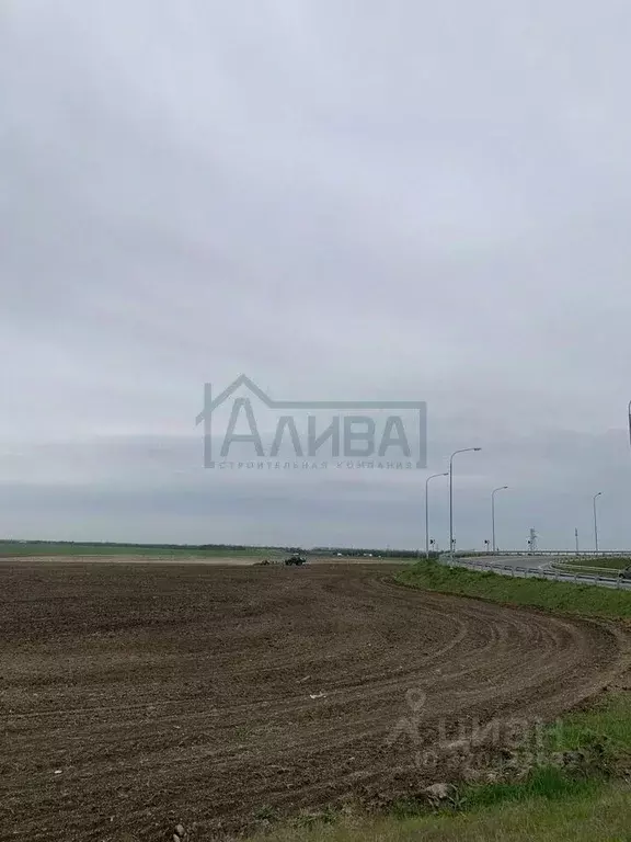 Участок в Ростовская область, Новочеркасск Багаевское ш. (300.0 сот.) - Фото 0