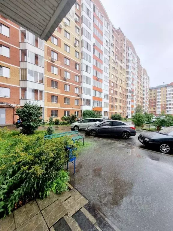 Студия Хакасия, Абакан ул. Маршала Жукова, 89 (25.0 м) - Фото 0