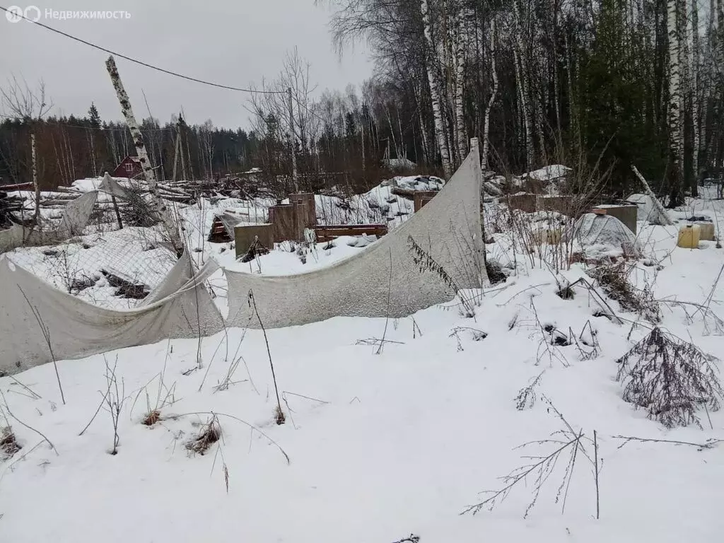 Участок в Московская область, городской округ Щёлково, село Трубино (8 ... - Фото 1