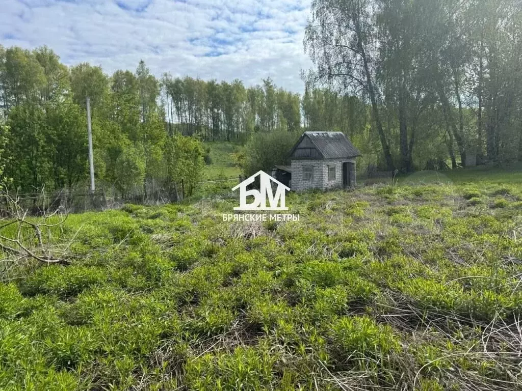 Участок 10 сот. (СНТ, ДНП) - Фото 0