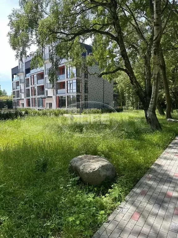Участок 11 сот. (ИЖС) - Фото 1