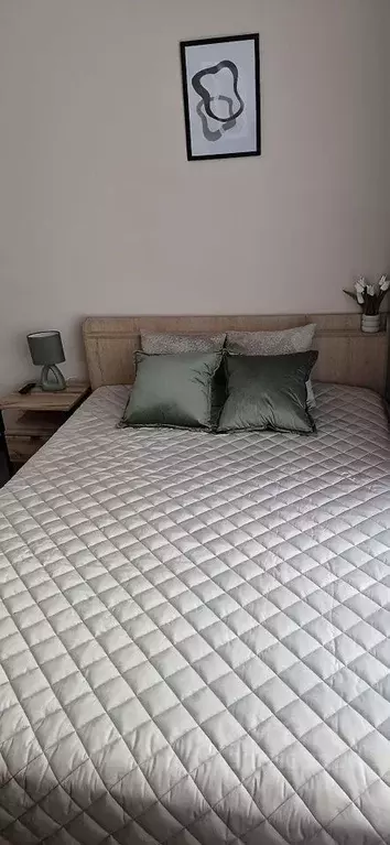 Студия Москва Автомобильный проезд, 4 (17.0 м) - Фото 2