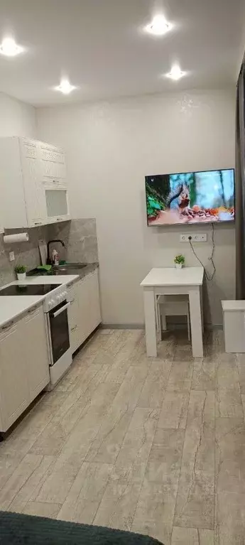 Студия Иркутская область, Иркутск ул. Рылеева, 3 (27.0 м) - Фото 2