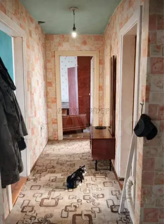 Дом в Алтай, Турочакский район, с. Иогач Таежный пер. (61 м) - Фото 2