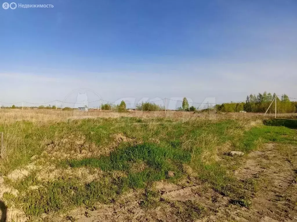 Участок в Тюменский район, село Каменка (12.3 м) - Фото 0