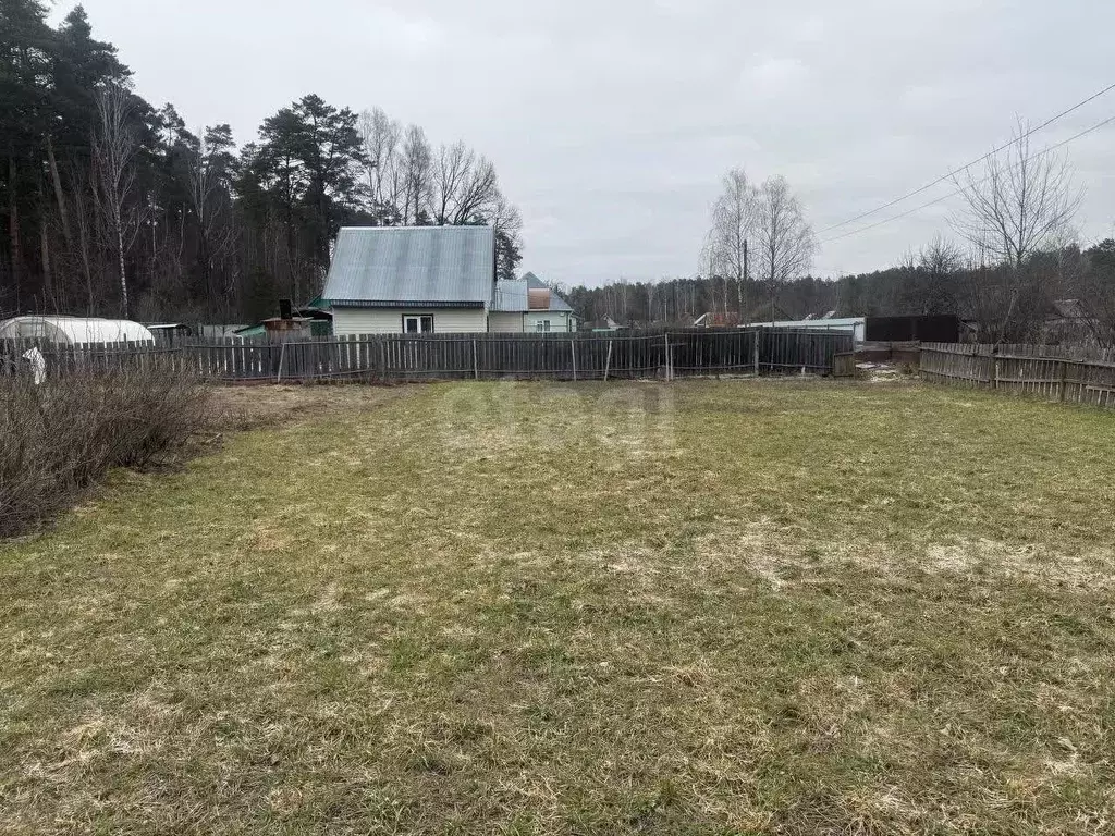 Дом в Брянская область, Сельцо  (26 м) - Фото 1