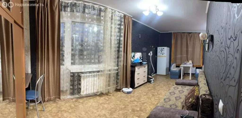 Квартира-студия: Благовещенск, улица Фрунзе, 48 (29.9 м) - Фото 1