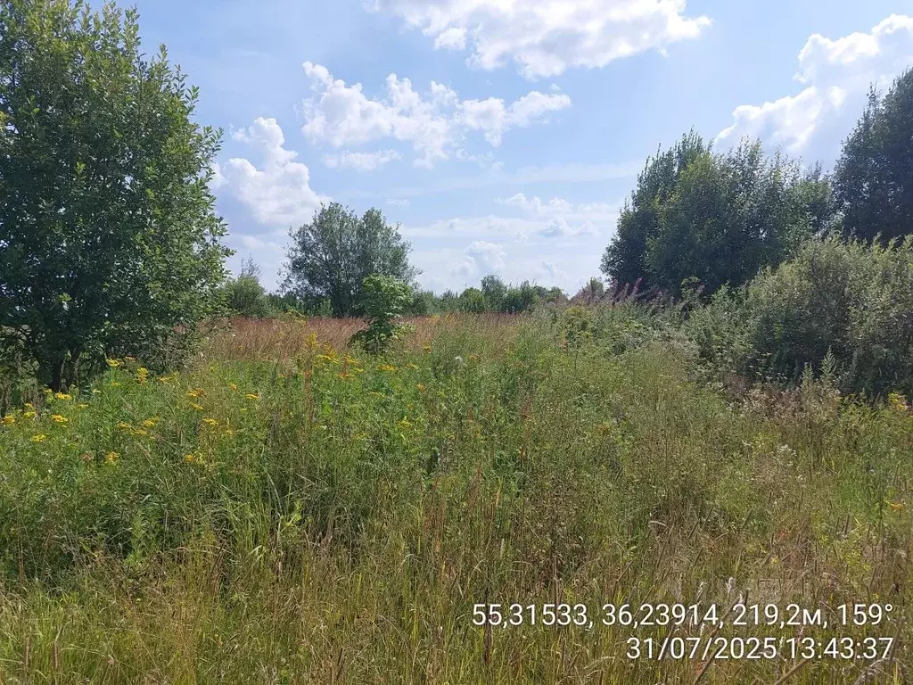 Участок в Московская область, Наро-Фоминский городской округ, д. ... - Фото 1