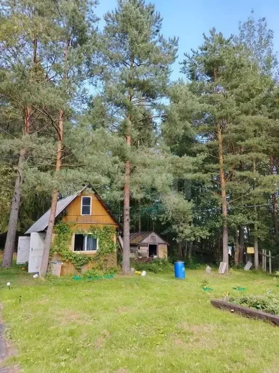 Дом в Вологодская область, Череповецкий район, пос. Суда Речная ул. ... - Фото 1