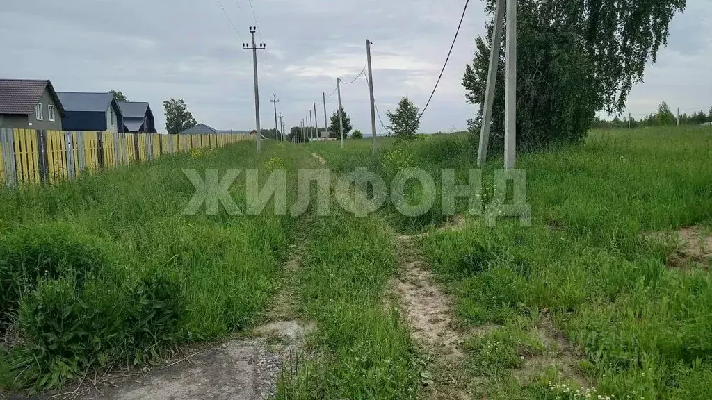 Участок в Новосибирская область, Ордынский район, д. Плотниково ... - Фото 0