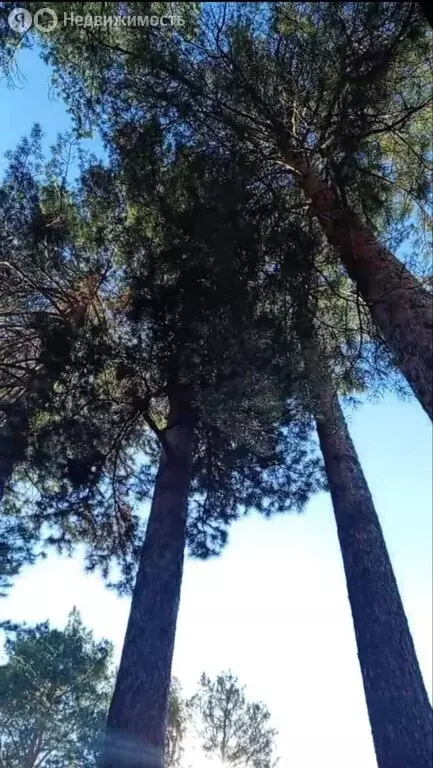 Дом в Шелеховский район, Олхинское муниципальное образование, деревня ... - Фото 1