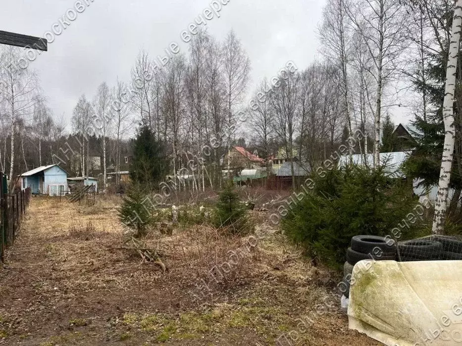 Участок в Московская область, Одинцовский городской округ, Большая ... - Фото 2