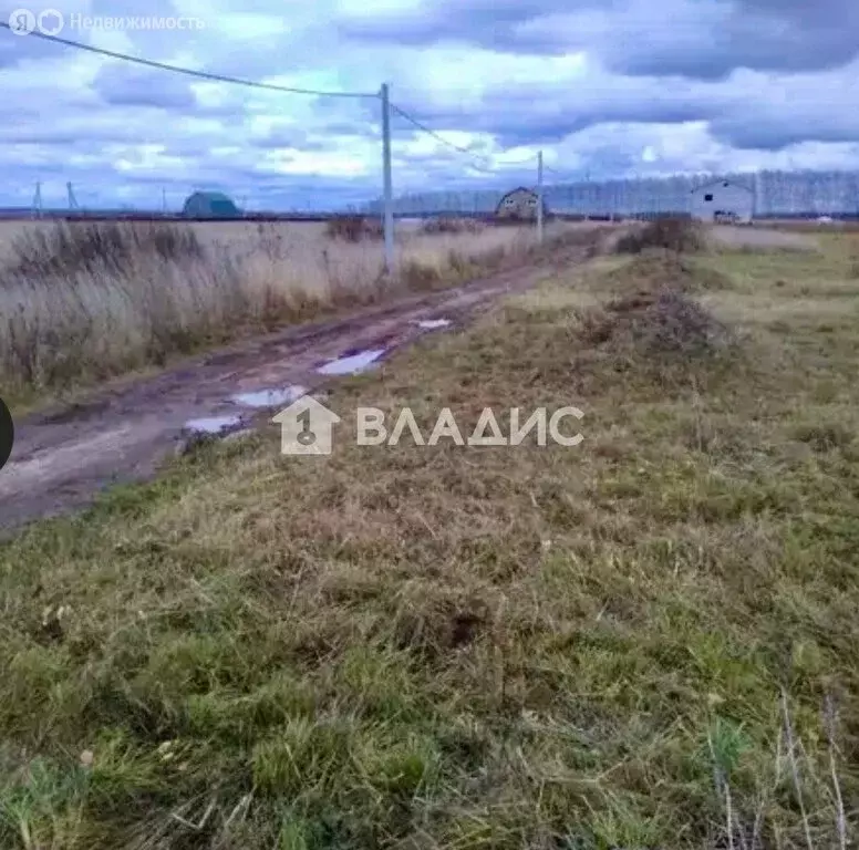 Участок в Нижегородская область, Богородский муниципальный округ, СНТ ... - Фото 1