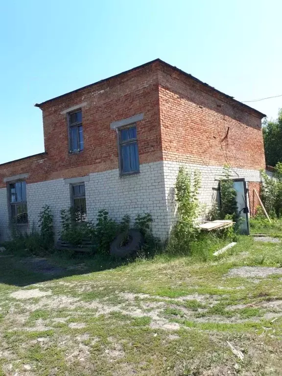 Помещение свободного назначения в Пензенская область, с. Лопатино ул. ... - Фото 0
