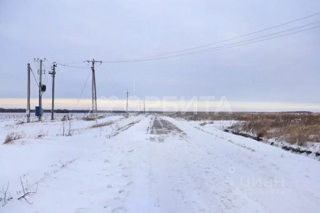 Участок в Тюменская область, Тюменский муниципальный округ, с. ... - Фото 1