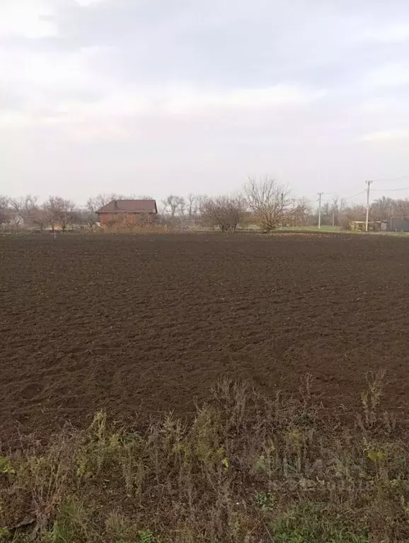 Участок в Ростовская область, Каменский район, Старостаничное с/пос, ... - Фото 1