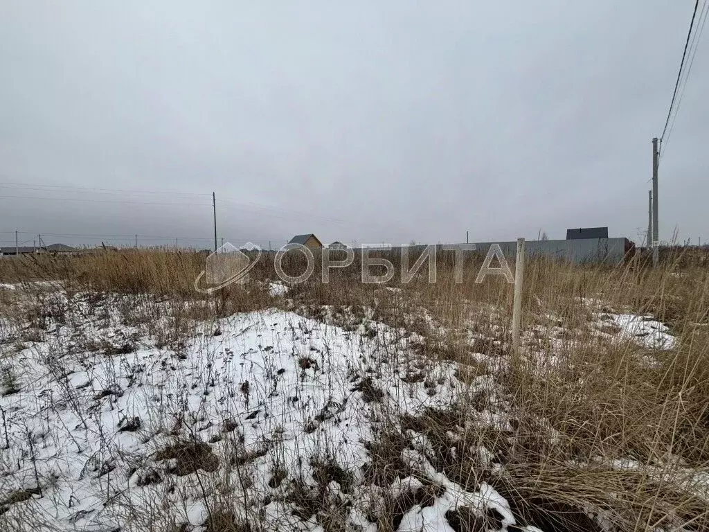 Участок в Тюменская область, Тюменский муниципальный округ, д. Якуши ... - Фото 1