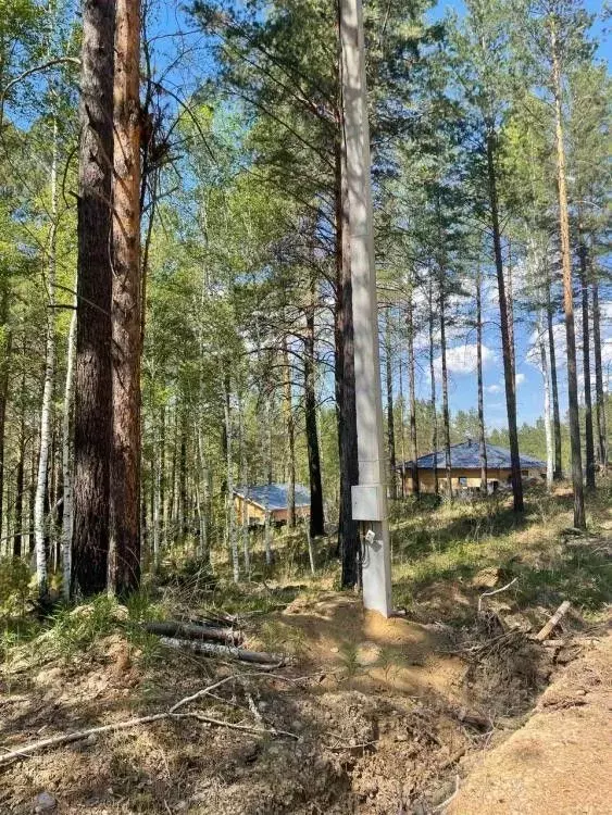 Участок в Иркутская область, Иркутский муниципальный округ, Садко ДПК ... - Фото 1